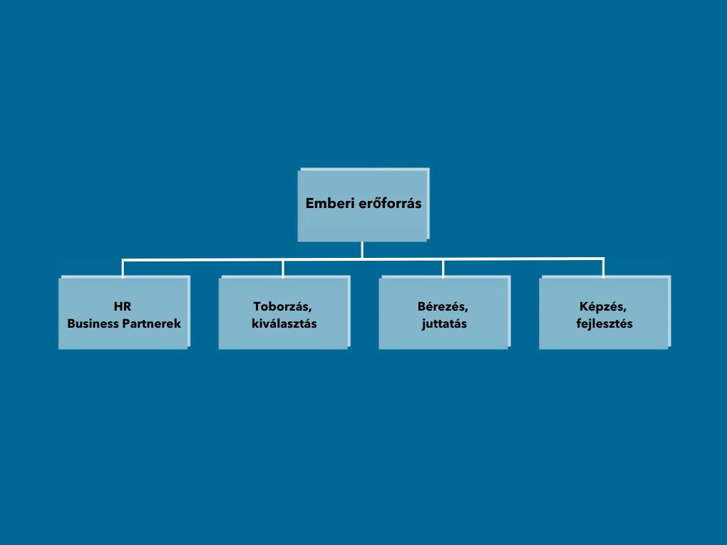 WBS HU HR Szervezeti abra 5
