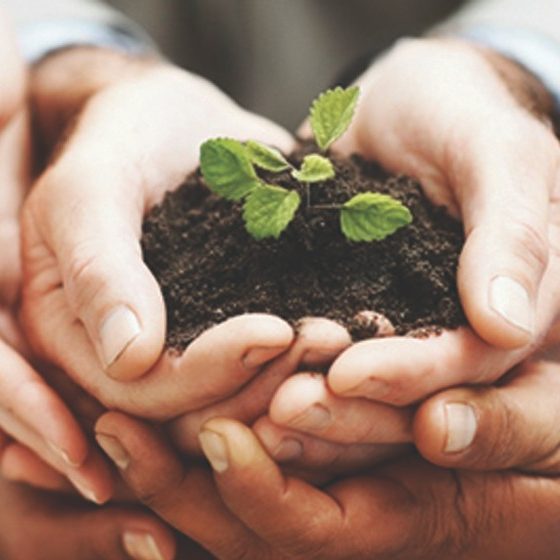 Minőségi, klasszikus, natúr kerámiacserép