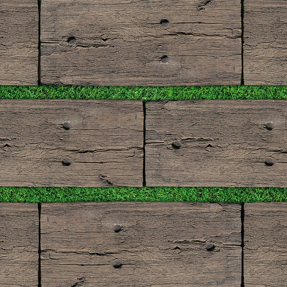 HU_MKT_PHO_PSH_PAV_SEM_Talpfa_antikbarna_fuvel HU